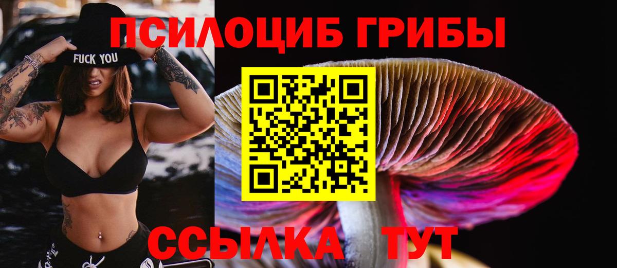 Псилоцибиновые грибы мицелий  Псилоцибиновые грибы MAGIC MUSHROOMS  Вход с VPN  Карталы 